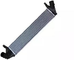 Интеркулер Asam 30909 LUNG