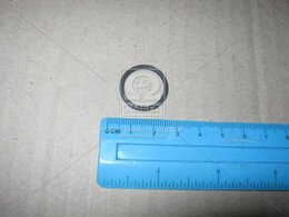 Уплотнительное кольцо Elring 476.750, резьбовая пробка маслосливн. отверст.,