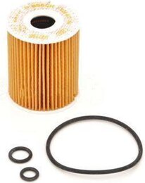 Масляный фильтр Bosch F026407144 P7144