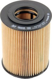 Масляный фильтр Bosch F026407073 P7073