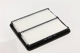 Воздушный фильтр Wix Filters WA6252